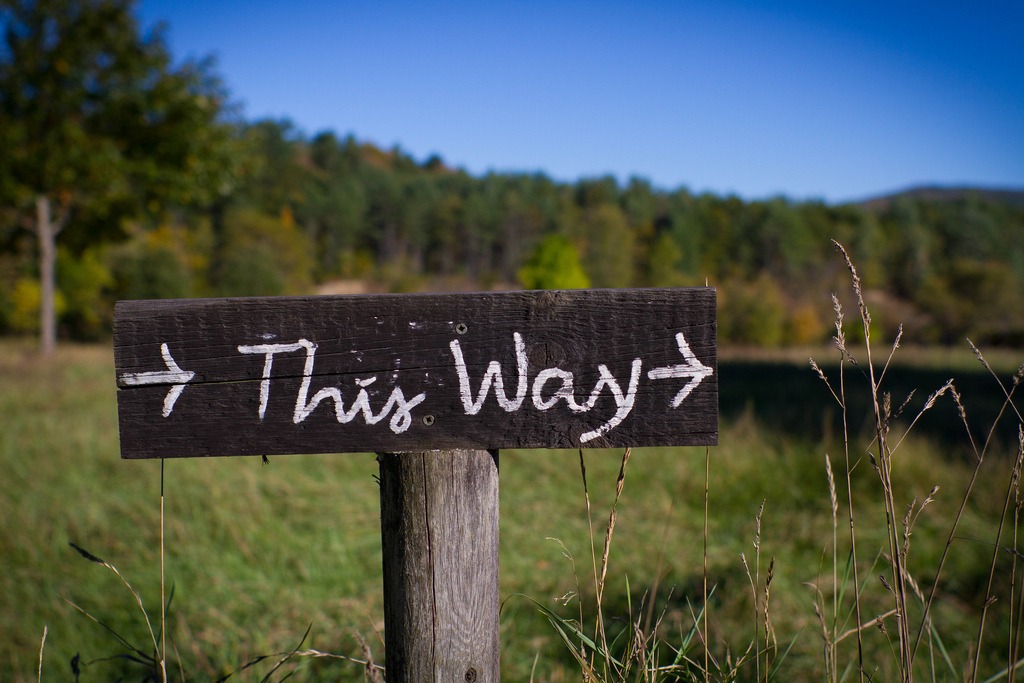 wooden sign post showing the way